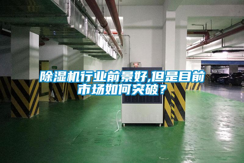 除濕機(jī)行業(yè)前景好,但是目前市場如何突破？