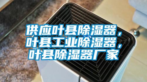 供應(yīng)葉縣除濕器，葉縣工業(yè)除濕器，葉縣除濕器廠家
