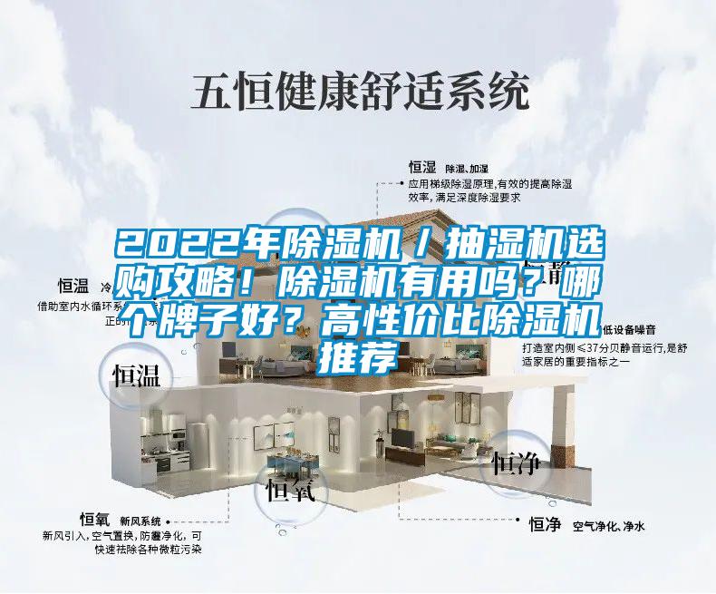 2022年除濕機／抽濕機選購攻略！除濕機有用嗎？哪個牌子好？高性價比除濕機推薦