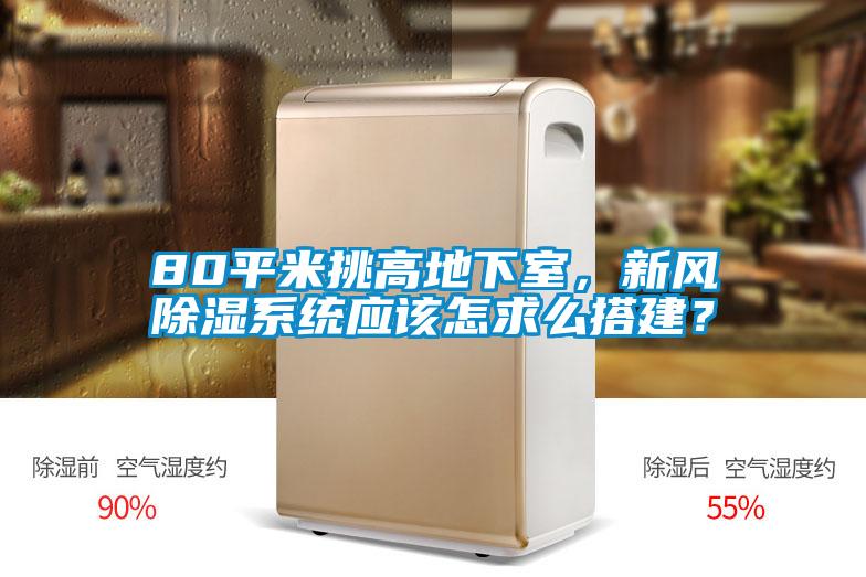 80平米挑高地下室，新風除濕系統(tǒng)應該怎求么搭建？