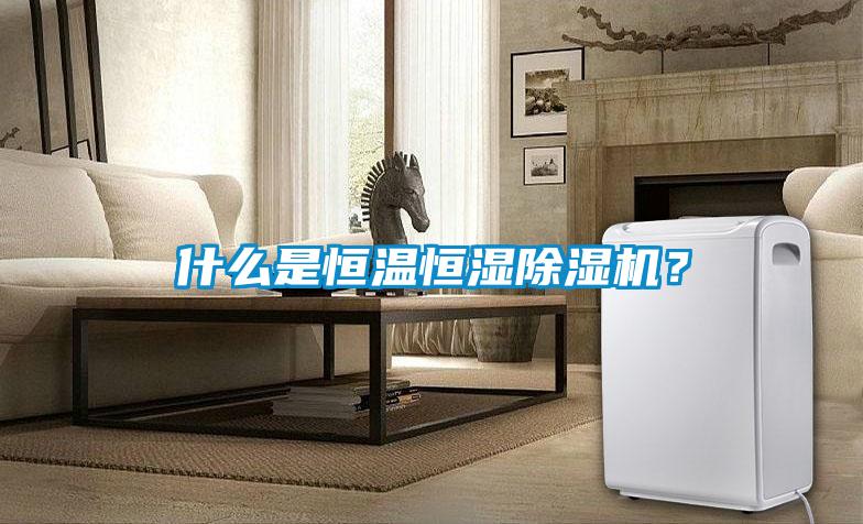 什么是恒溫恒濕除濕機？