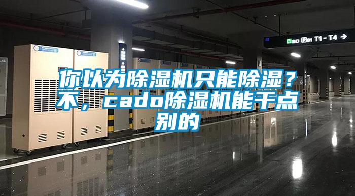 你以為除濕機(jī)只能除濕？不，cado除濕機(jī)能干點(diǎn)別的