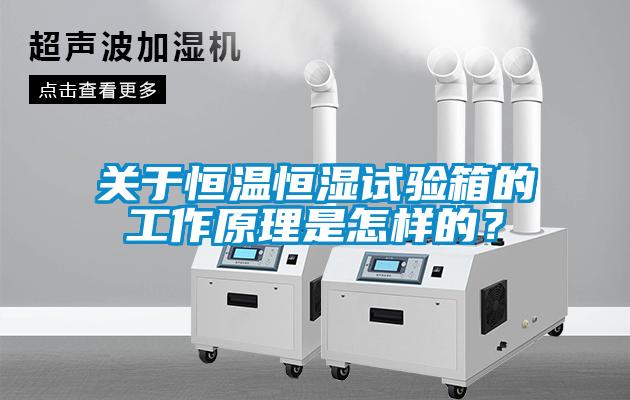 關(guān)于恒溫恒濕試驗(yàn)箱的工作原理是怎樣的？