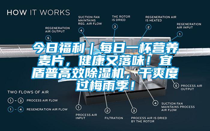 今日福利｜每日一杯營(yíng)養(yǎng)麥片，健康又落味！宜盾普高效除濕機(jī)，干爽度過(guò)梅雨季！
