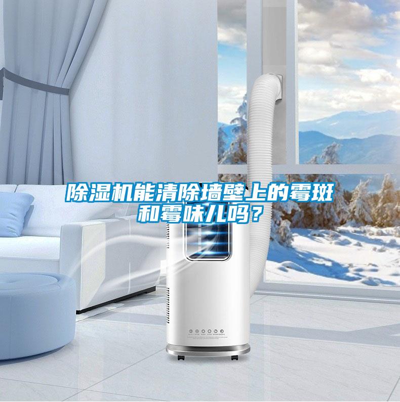 除濕機(jī)能清除墻壁上的霉斑和霉味兒嗎？
