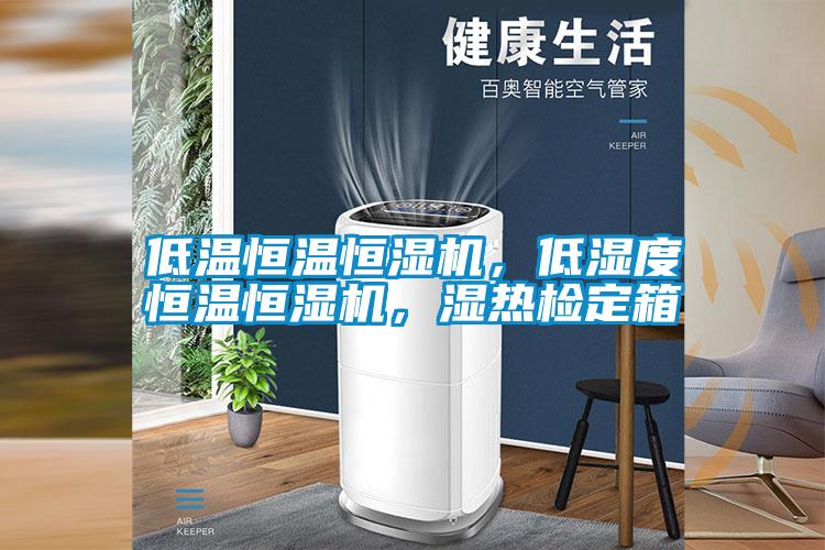 低溫恒溫恒濕機(jī)，低濕度恒溫恒濕機(jī)，濕熱檢定箱
