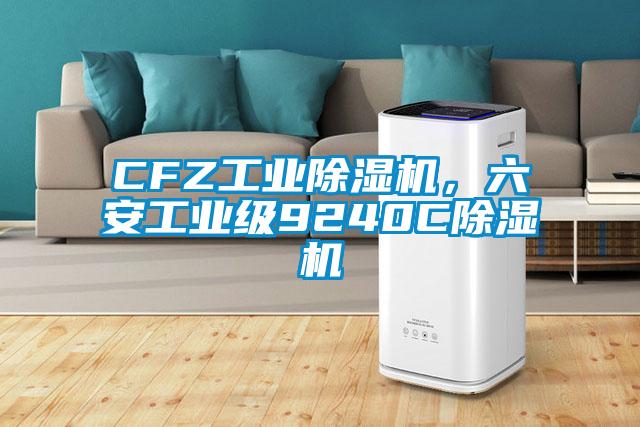 CFZ工業(yè)除濕機，六安工業(yè)級9240C除濕機