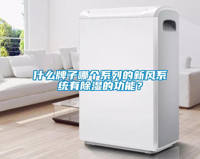 什么牌子哪個系列的新風(fēng)系統(tǒng)有除濕的功能？