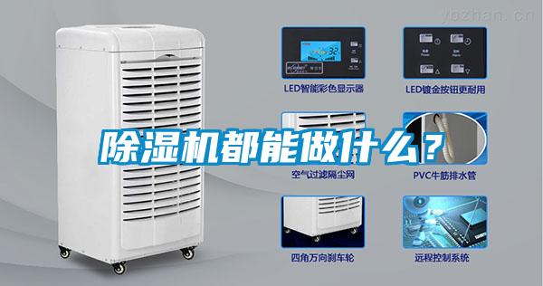 除濕機(jī)都能做什么？