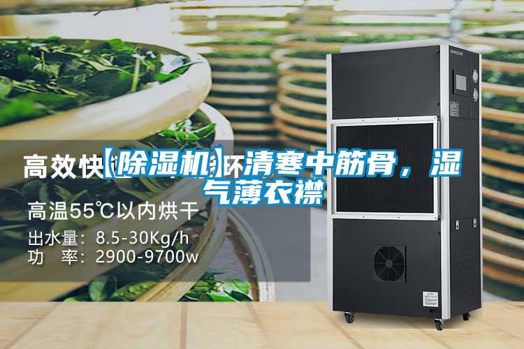 【除濕機(jī)】清寒中筋骨，濕氣薄衣襟