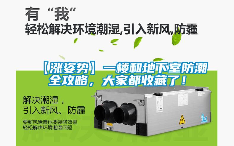 【漲姿勢】一樓和地下室防潮全攻略，大家都收藏了！