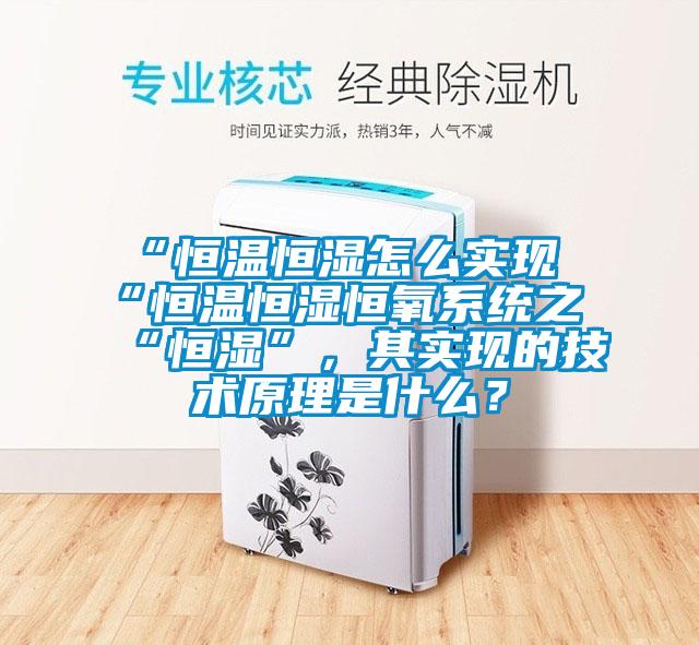 “恒溫恒濕怎么實(shí)現(xiàn)“恒溫恒濕恒氧系統(tǒng)之“恒濕”，其實(shí)現(xiàn)的技術(shù)原理是什么？