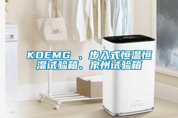 KOEMG 、步入式恒溫恒濕試驗(yàn)箱、泉州試驗(yàn)箱