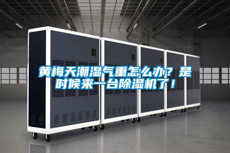 黃梅天潮濕氣重怎么辦？是時(shí)候來一臺(tái)除濕機(jī)了！
