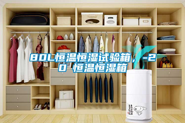 80L恒溫恒濕試驗(yàn)箱，-20℃恒溫恒濕箱
