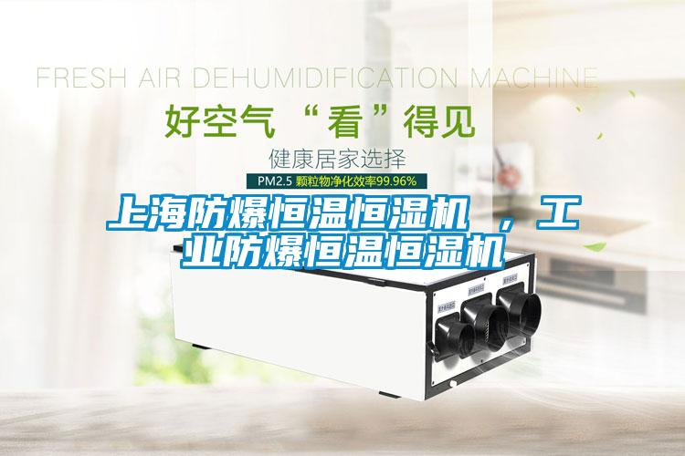 上海防爆恒溫恒濕機(jī) ，工業(yè)防爆恒溫恒濕機(jī)
