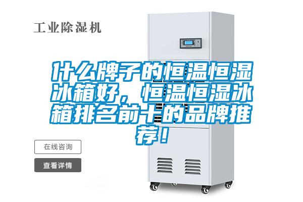 什么牌子的恒溫恒濕冰箱好，恒溫恒濕冰箱排名前十的品牌推薦！