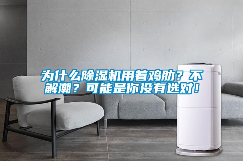 為什么除濕機(jī)用著雞肋？不解潮？可能是你沒(méi)有選對(duì)！