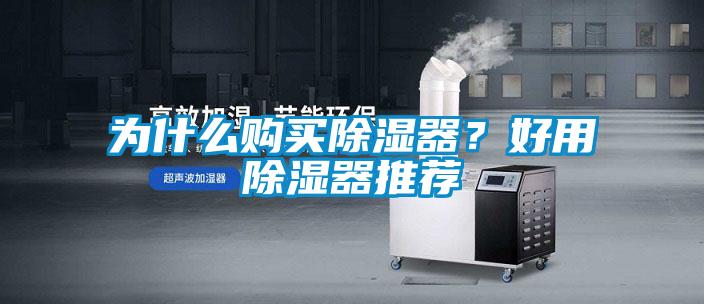 為什么購買除濕器？好用除濕器推薦