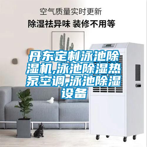 丹東定制泳池除濕機,泳池除濕熱泵空調(diào),泳池除濕設(shè)備