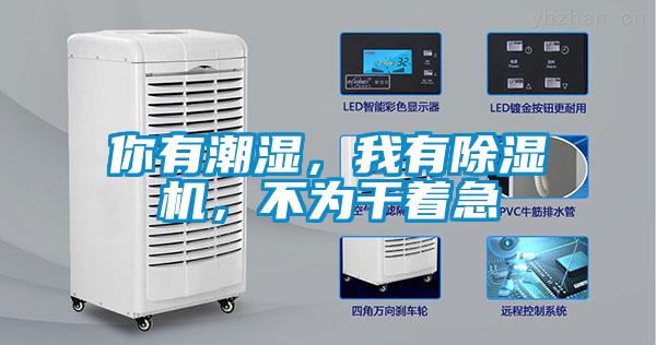 你有潮濕，我有除濕機(jī)，不為干著急