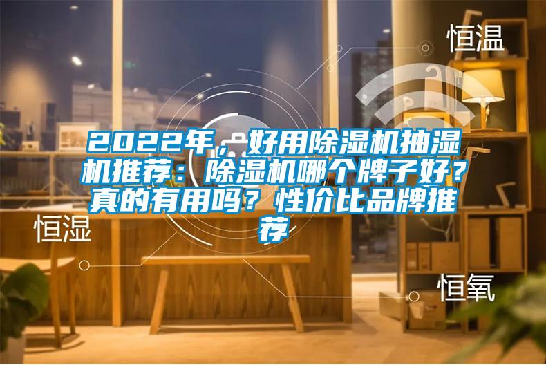 2022年，好用除濕機(jī)抽濕機(jī)推薦：除濕機(jī)哪個(gè)牌子好？真的有用嗎？性價(jià)比品牌推薦