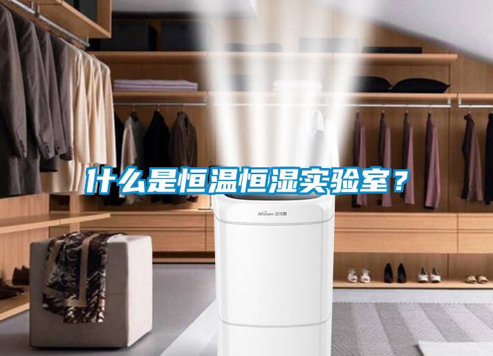 什么是恒溫恒濕實驗室？