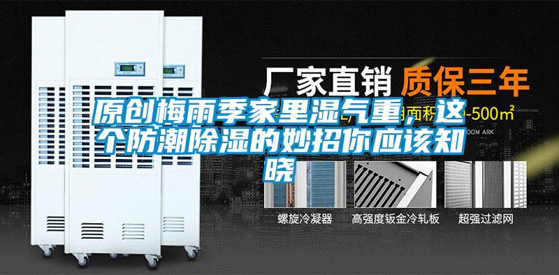 原創(chuàng)梅雨季家里濕氣重，這個防潮除濕的妙招你應(yīng)該知曉