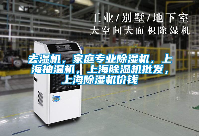 去濕機(jī)，家庭專業(yè)除濕機(jī)，上海抽濕機(jī)，上海除濕機(jī)批發(fā)，上海除濕機(jī)價(jià)錢
