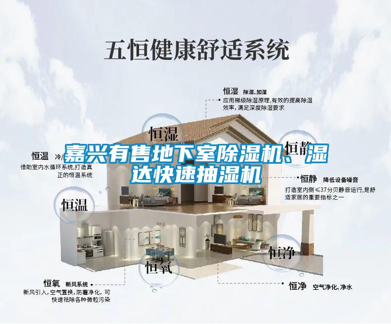 嘉興有售地下室除濕機、濕達快速抽濕機