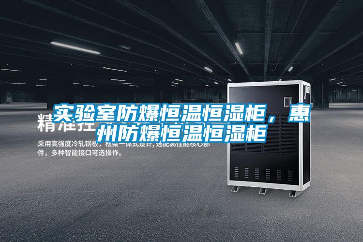 實(shí)驗(yàn)室防爆恒溫恒濕柜，惠州防爆恒溫恒濕柜
