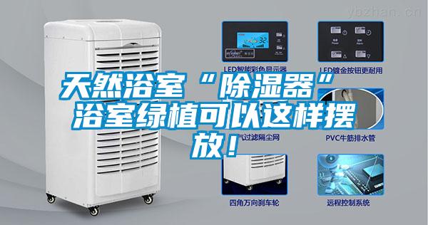 天然浴室“除濕器” 浴室綠植可以這樣擺放！