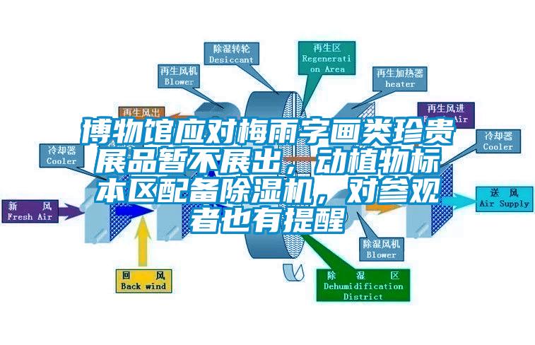 博物館應(yīng)對(duì)梅雨字畫類珍貴展品暫不展出，動(dòng)植物標(biāo)本區(qū)配備除濕機(jī)，對(duì)參觀者也有提醒