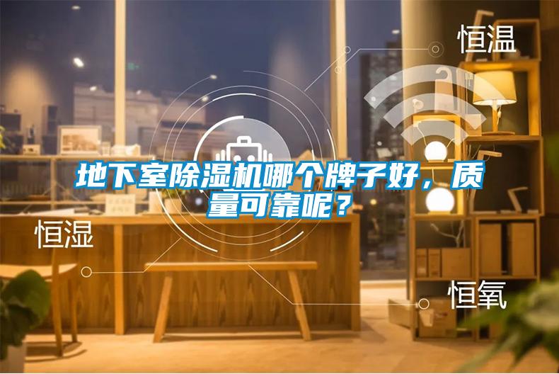 地下室除濕機(jī)哪個牌子好，質(zhì)量可靠呢？