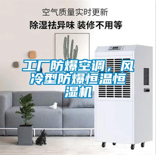 工廠防爆空調(diào)，風(fēng)冷型防爆恒溫恒濕機(jī)