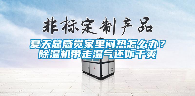 夏天總感覺家里悶熱怎么辦？除濕機(jī)帶走濕氣還你干爽