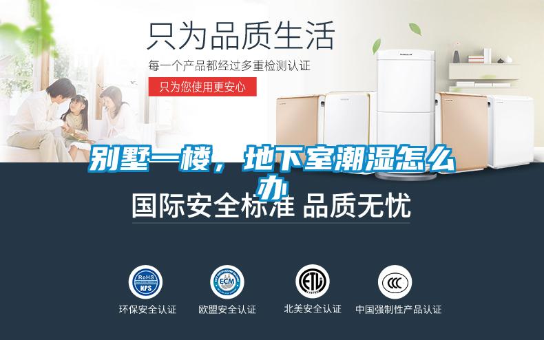 別墅一樓，地下室潮濕怎么辦