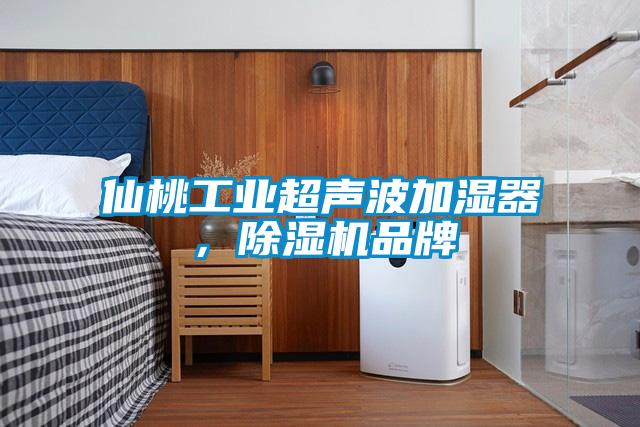 仙桃工業(yè)超聲波加濕器，除濕機品牌