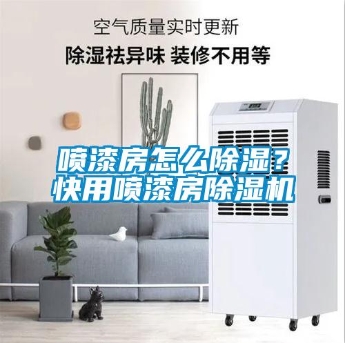 噴漆房怎么除濕？快用噴漆房除濕機(jī)