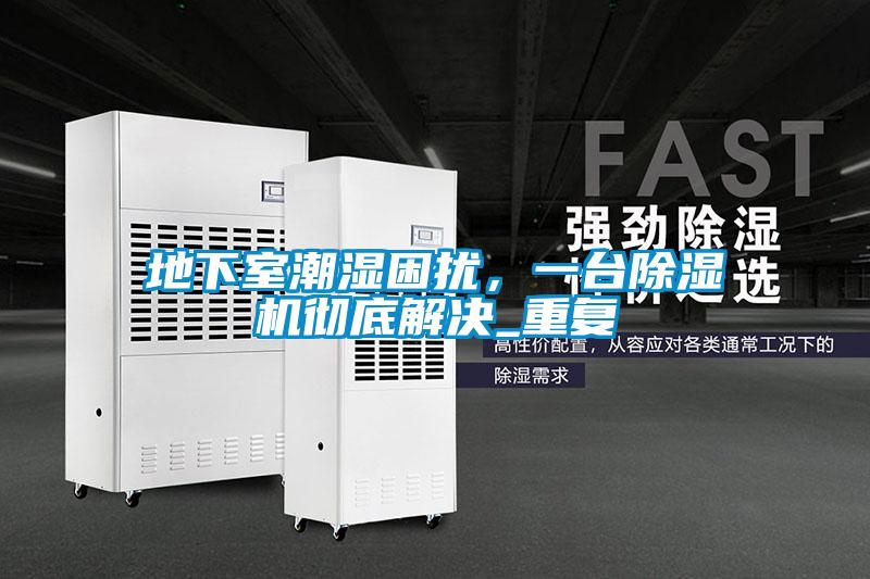 地下室潮濕困擾，一臺除濕機徹底解決_重復
