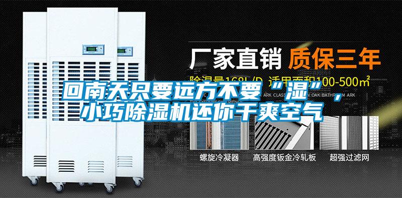 回南天只要遠(yuǎn)方不要“濕”，小巧除濕機(jī)還你干爽空氣