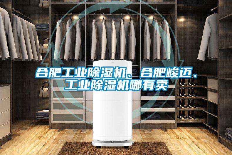 合肥工業(yè)除濕機、合肥峻邁、工業(yè)除濕機哪有賣