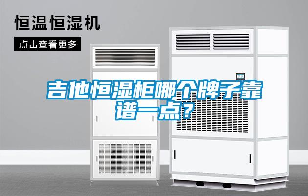 吉他恒濕柜哪個牌子靠譜一點？