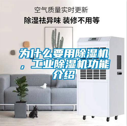 為什么要用除濕機，工業(yè)除濕機功能介紹