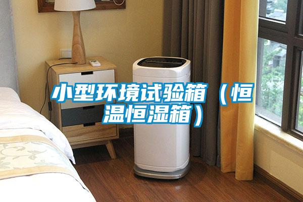 小型環(huán)境試驗箱(恒溫恒濕箱)