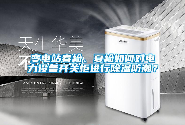 變電站春檢、夏檢如何對電力設(shè)備開關(guān)柜進行除濕防潮？