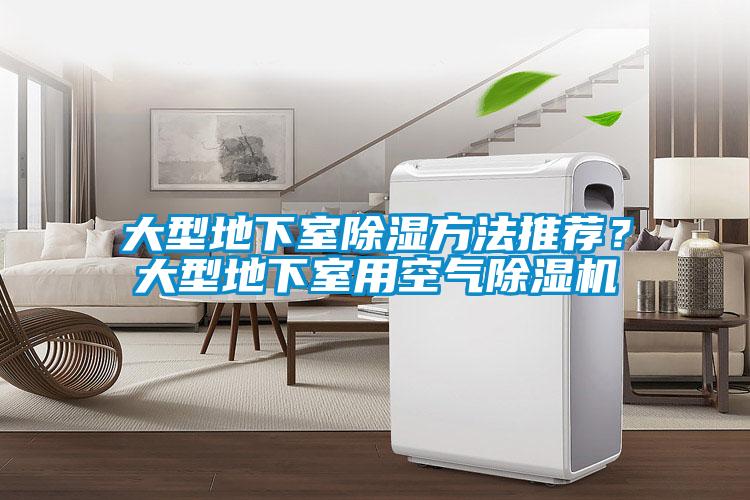 大型地下室除濕方法推薦？大型地下室用空氣除濕機