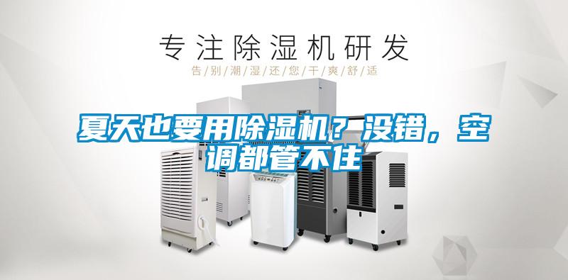 夏天也要用除濕機(jī)？沒錯(cuò)，空調(diào)都管不住
