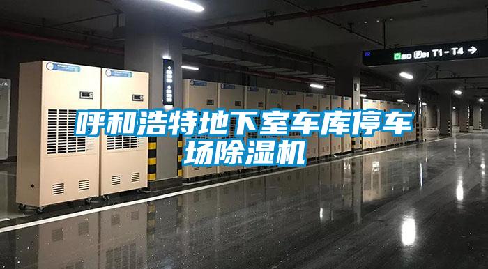 呼和浩特地下室車庫(kù)停車場(chǎng)除濕機(jī)