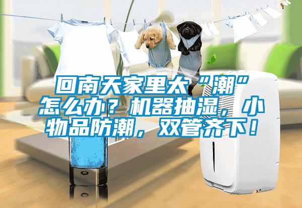 回南天家里太“潮”怎么辦？機(jī)器抽濕，小物品防潮，雙管齊下！
